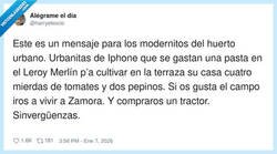 Enlace a Mi huerto urbano: 200€ en Leroy Merlin para cosechar dos pepinos y una crisis existencial