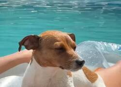 Enlace a Ni le afecta, por @flanchota