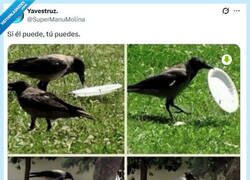 Enlace a ¿Cuál es tu excusa? por @supermanumolina