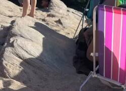 Enlace a Éste mínimo participó en los JJOO, por @PlayeroDeAxion