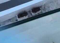 Enlace a El postureo hace que hoy en día no exista ni el amor