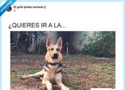 Enlace a Yo: “solo voy a echar un vistazo”. Mi responsabilidad: *desaparece en cuanto abro la puerta*