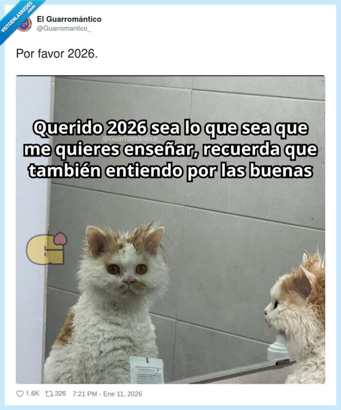 2026,gato,espejo,reflexi&oacute;n,esperanza