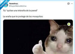 Enlace a Vovleré por @supermanumolina