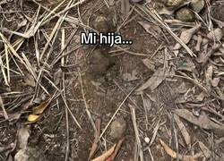 Enlace a Cuando te das cuenta que tu hija va a ser cara de mantener