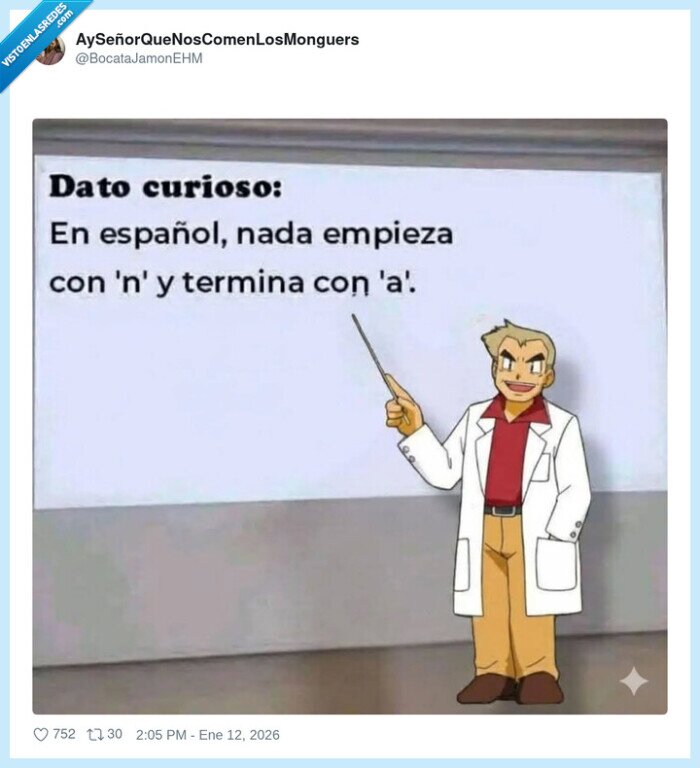 lengua,espa&ntilde;ol,curiosidad,gram&aacute;tica,pikachu
