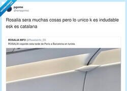 Enlace a La pela es la pela, por @iampgomez