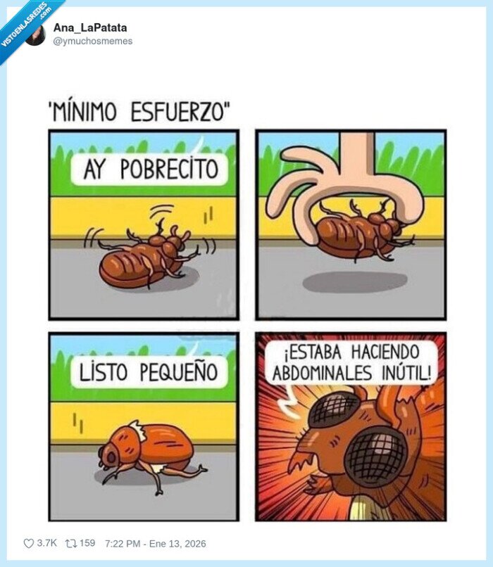 1712393 - Cuando dices “mínimo esfuerzo” y la vida te responde: “mínimo respeto, campeón”, por @ymuchosmemes