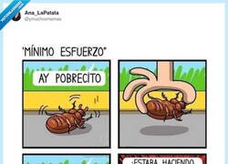 Enlace a Cuando dices “mínimo esfuerzo” y la vida te responde: “mínimo respeto, campeón”, por @ymuchosmemes