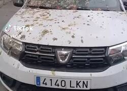 Enlace a Podría ser yo perfectamente