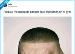 Enlace a El típico que te pregunta si te quedan muchas y lleva 40 minutos con el móvil en la máquina, por @KukuSnoow