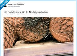 Enlace a Lo estás cantando como yo, por @juanluissaldana