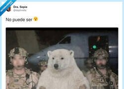 Enlace a Cuando el de RRHH te dice “vienes sobrecualificado” y te escoltan fuera, por @daphnella