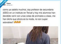 Enlace a En mi época te quitaban el móvil; ahora te quitan la cola antes de entrar en clase, por @vaqu333