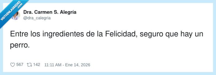 felicidad,perro,ingredientes,vida,amor