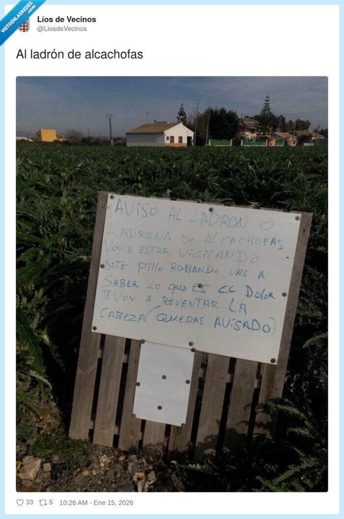 ladr&oacute;n,alcachofas,avis&oacute;,campo,reventar