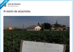 Enlace a España rural: te roban una alcachofa y te cae el Código Penal en una pizarra, por @LiosdeVecinos