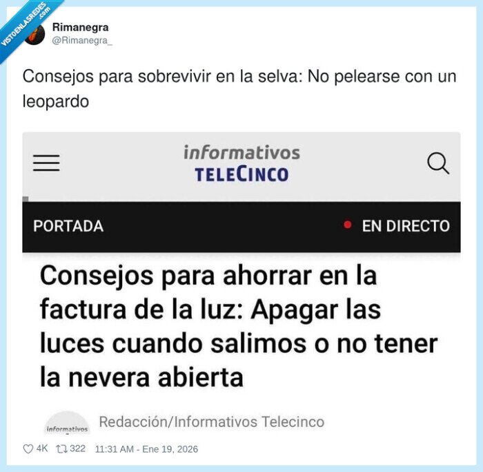 sobrevivir,selva,leopardo,ahorro,luz