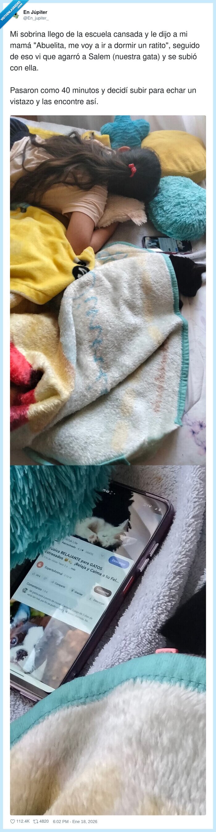 ni&ntilde;a,gato,dormir,relajaci&oacute;n,tiktok