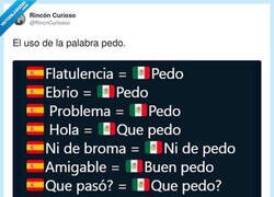Enlace a Los mexicanos tienen un vocabulario de 500 palabras y 498 son “pedo”, por @RincnCuriosoo