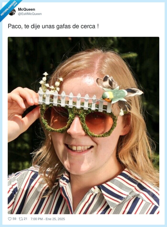 gafas,jard&iacute;n,p&aacute;jaro,creatividad,estilo