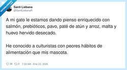 Enlace a Mi gato va a hacer volumen y yo sigo a base de café y arrepentimiento, por @SantiLiebanaR