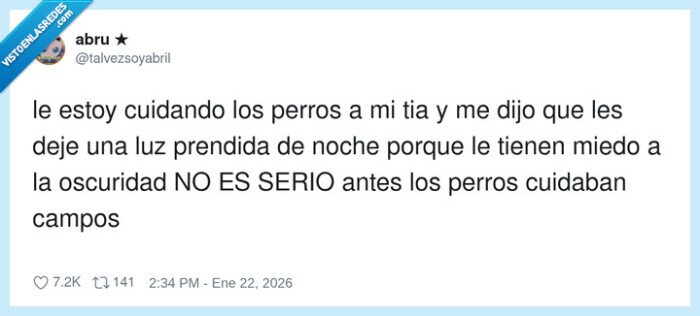 perros,oscuridad,miedo,cuidar,iron&iacute;a