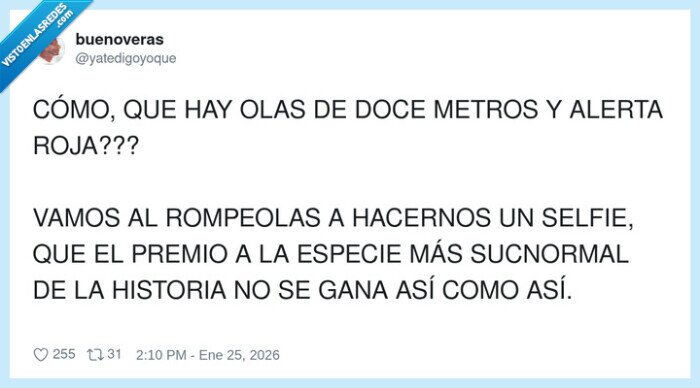 olas,alerta,selfie,rompeolas,sucnormal