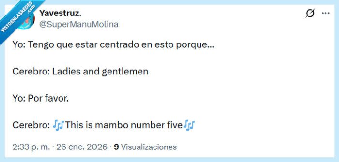 mambo number five,cerebro,concentrado
