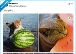 Enlace a Se lo buscó por @supermanumolina