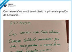 Enlace a Andalucía según mi yo de 9 años: casas blancas, mini gambas y calor como si fuera personal, por @NachoAlVi