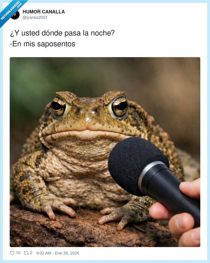 sapo,noche,pasar,aposentos