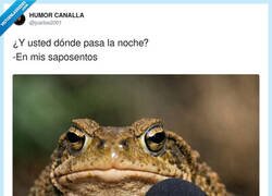 Enlace a Sapodera del micro, por @jcarlos2001