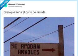 Enlace a Me gusta poner apodos con insulto sutil, por @MastersOfNaming