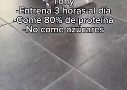 Enlace a Sobre todo no seas como Tony