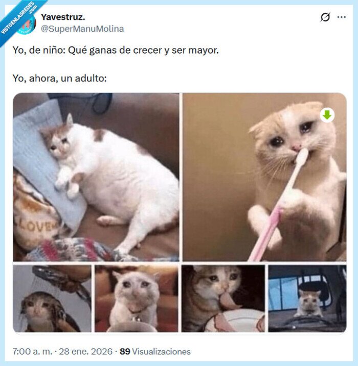 crecer,mayor,ni&ntilde;o,adulto