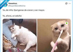 Enlace a Qué buena vida por @supermanumolina