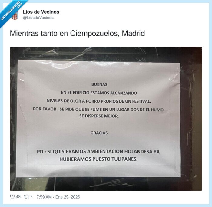 edificio,olor,porro,festival,tulipanes