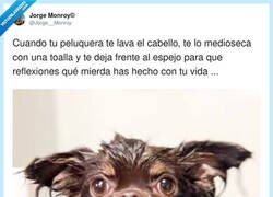 Enlace a Es humillación en estado puro, por @Jorge__Monroy