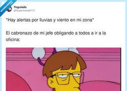 Enlace a Si te ahogas viniendo, avisa… pero a Recursos Humanos, por @Supertramp9713