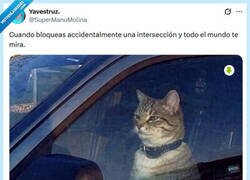 Enlace a Era mi primerito día por @supermanumolina