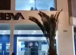 Enlace a Así hay gente que se saca un doble sueldo