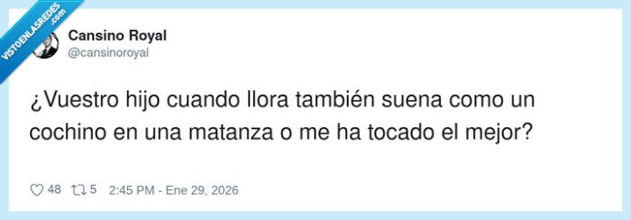 1713306 - ¿Esto es llanto o están sacrificando un cerdo en el salón?, por @cansinoroyal