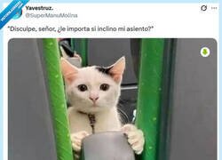 Enlace a Más educado que muchos usuarios de transporte público por @supermanumolina