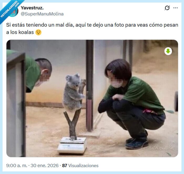 1713408 - No se dejan por @supermanumolina