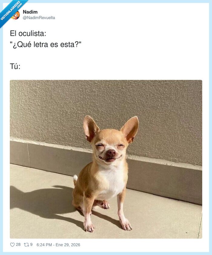 1713424 - El oculista: «¿Qué letra es esta?»Yo: «La que sea, pero no me grites», por @NadimRevuelta