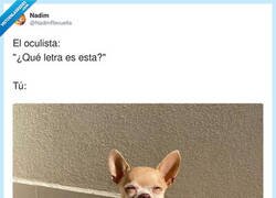 Enlace a El oculista: «¿Qué letra es esta?»Yo: «La que sea, pero no me grites», por @NadimRevuelta