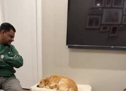 Enlace a Yo también quiero dormir así, pero mi dignidad no me deja, por @EnsedeCiencia