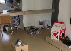 Enlace a Esto es una pasada y no acepto discusiones, por @PriscilaEquiX