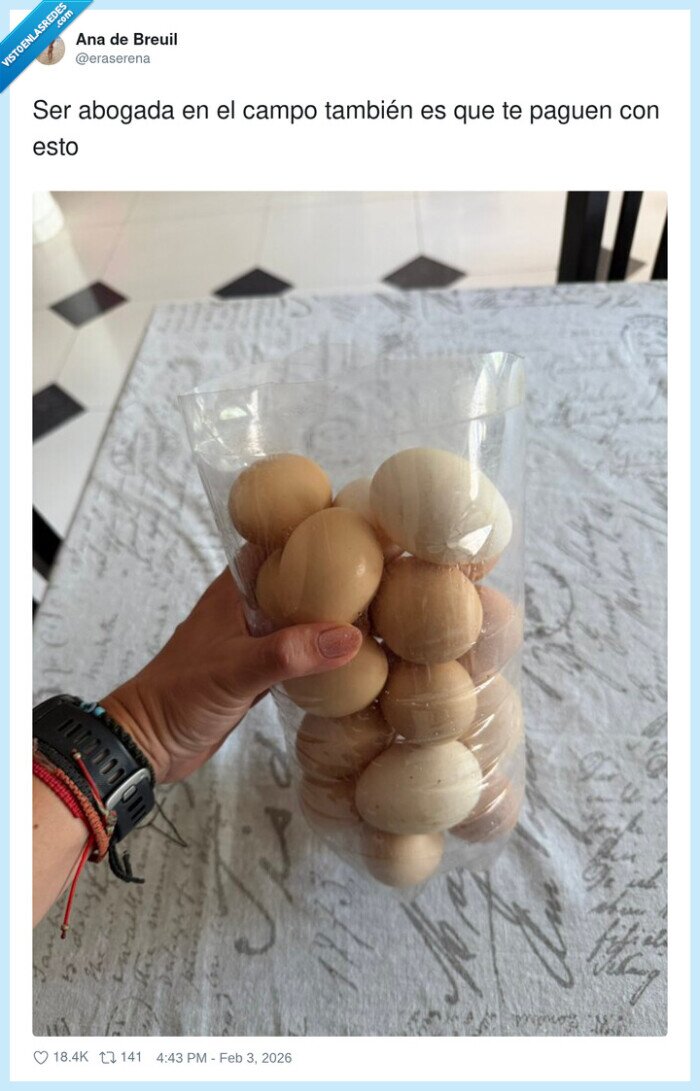 1713720 - Mi sueldo: 12 huevos y el orgullo de saber que “se puede pagar en especie”, por @eraserena